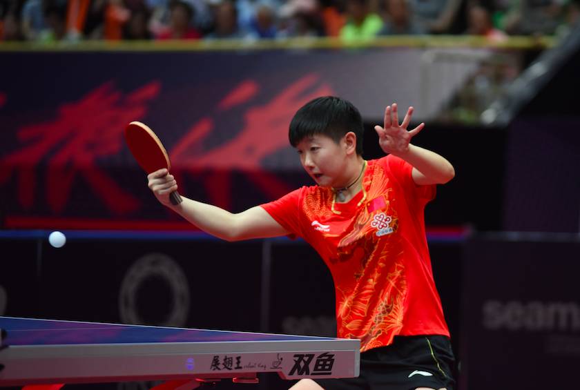 评委的感知 评委的感知