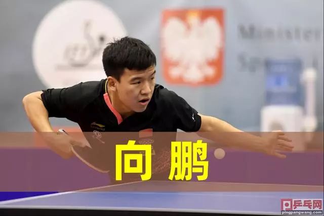 理性判断是 理性判断是